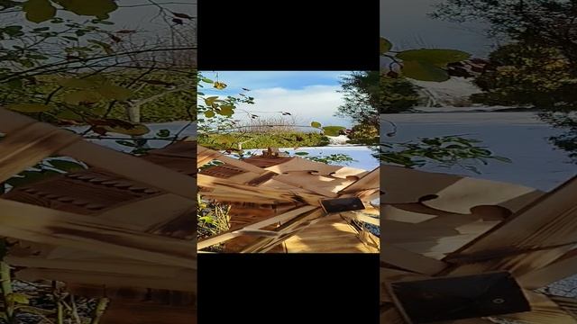 1000003017.mp4