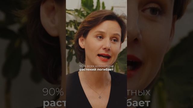 Как поливать комнатные растения.