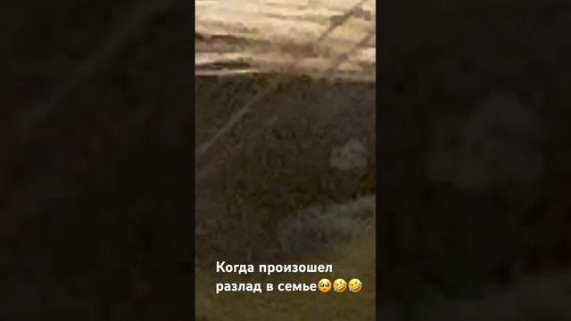 Придумайте название этому видео 🥰