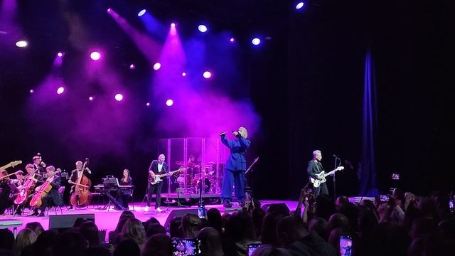 364. Мураками live