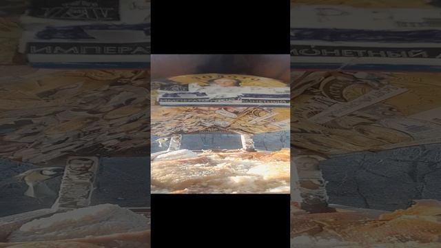 1000033597.mp4Кормушка 25.11 2024г.