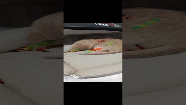 1000004894.mp4