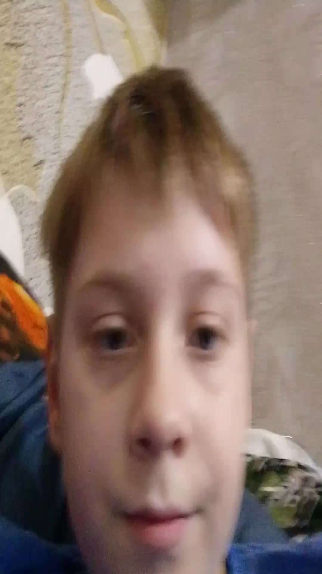 проверочка