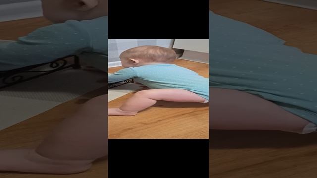 VID_20241125_090617.mp4