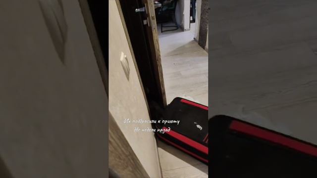 Энтерит! Мы на карантине!
