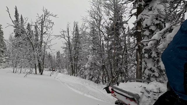 Снегоход AODES SWT. Реальные условия эксплуатации.