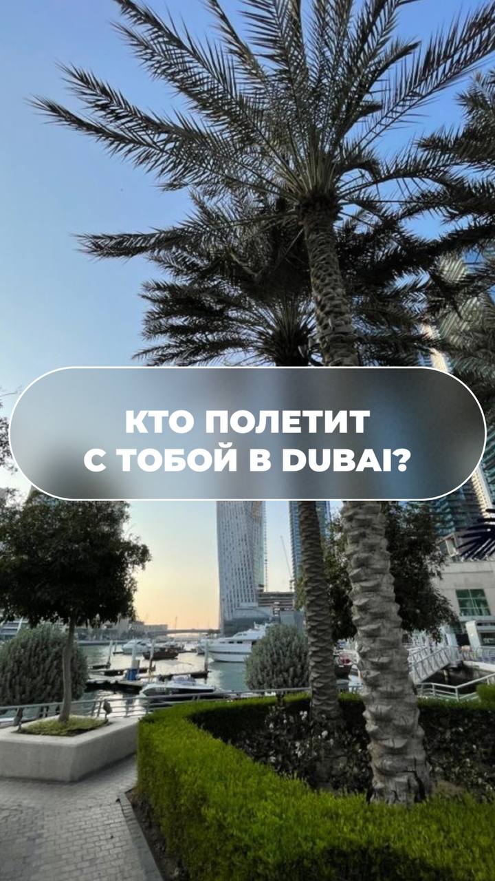 КТО ПОЛЕТИТ С ТОБОЙ В DUBAI?