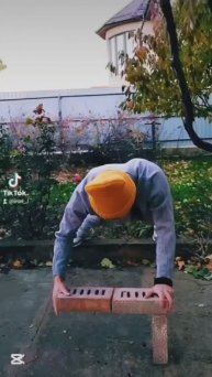 Отжимание на Кирпичах @WildMoose