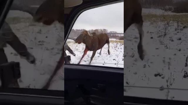 Охотники от бога