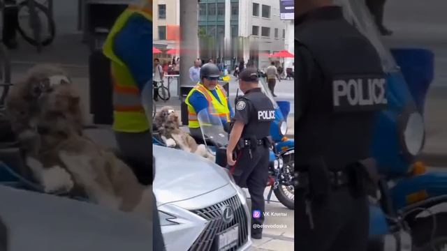 1000040466.mp4