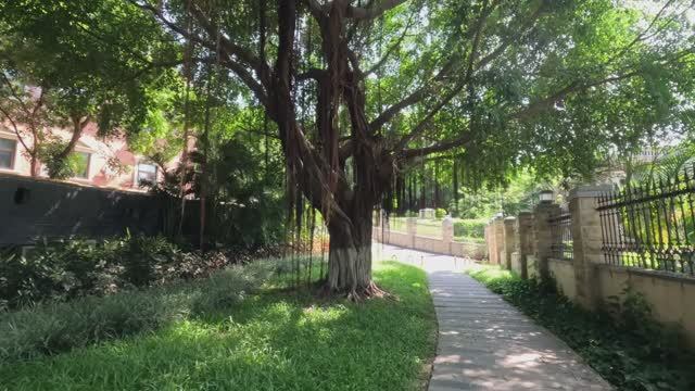Китай, Сямен (Xiamen), Jul 2024, Gulangyu Island, Short Version
