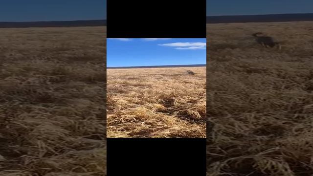 А кто сегодня умница 😀