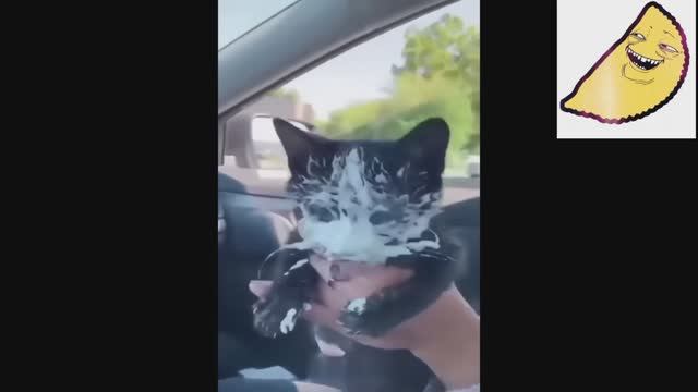 ЭТО очень смешно🤣🤣🤣