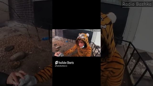 РадиоБашка Всем Хорошего НАстроения / Вова Колючий #Shorts