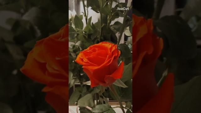 С праздником🤗