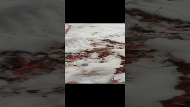 2-я серия 1-го сезона