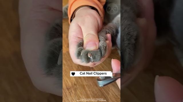 Ножницы для стрижки ноготков животных