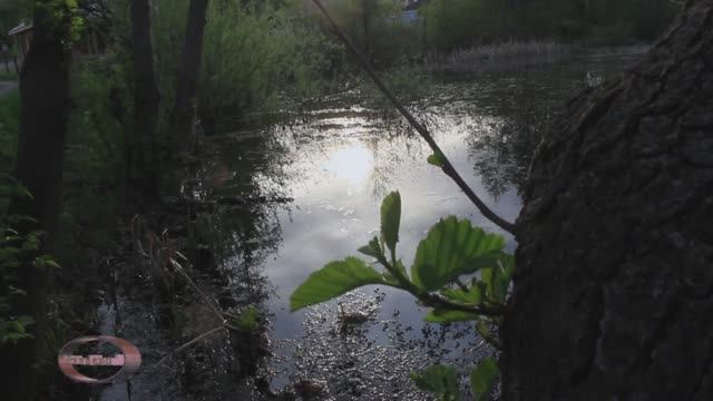 Музыкальная шкатулка " Хор ...