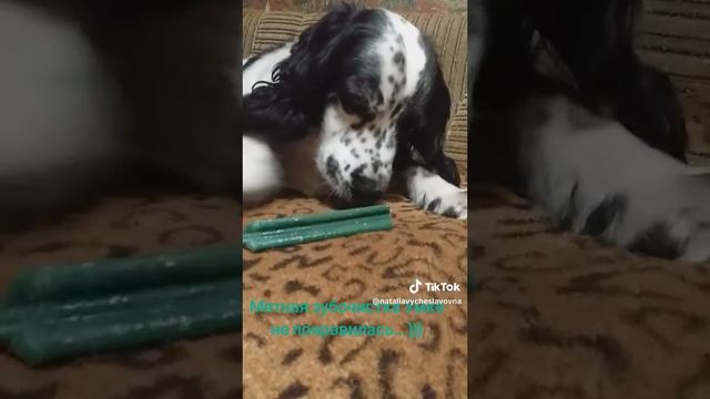 Зубочистик...)))