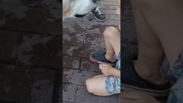 Скажи "ав"!