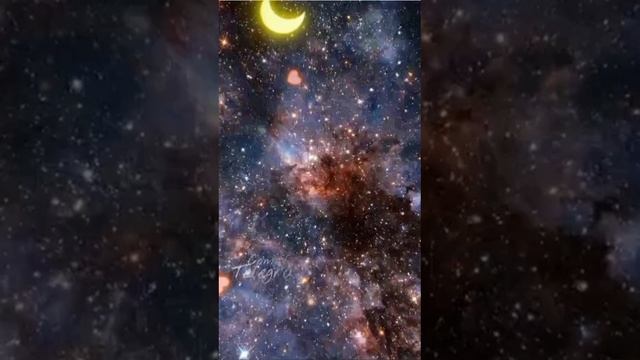 1000032474.mp4Добрых снов!✨🌌💫🌌✨🌌💫🌌✨🌌💫🌹🌹🌹🌹🌹