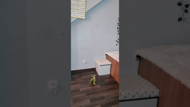 Превращение.