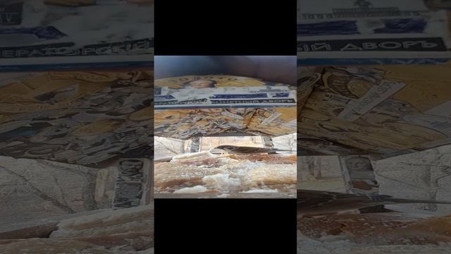 1000033490.mp4жизнь кормушки.25.11.2024г.