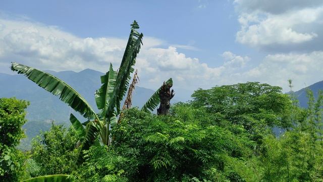 12590125_3840_2160_30fps