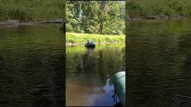 Сплав_А Миша спит