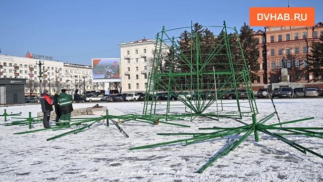 На площади Ленина и в «Динамо» начали устанавливать каркас новогодних елок