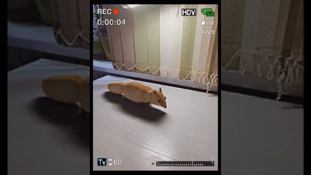 Не подходите к Лисе