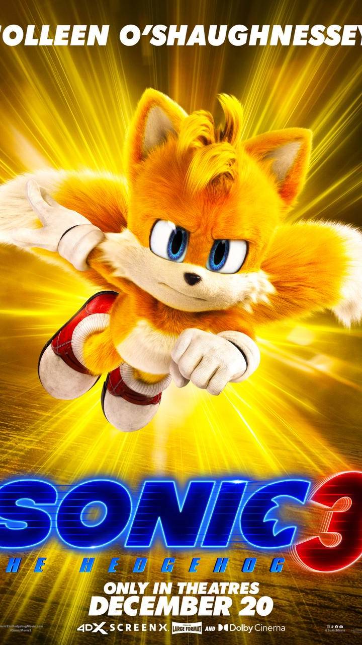 Соник в кино 3 (2024)
Sonic the Hedgehog 3