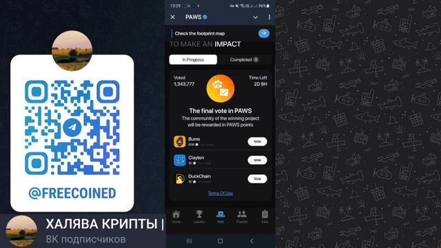 КАК ВЫПОЛНИТЬ ВСЕ ЗАДАНИЯ В PAWS + НОВОЕ ГОЛОСОВАНИЕ В ЛАПКИ КВЕСТ