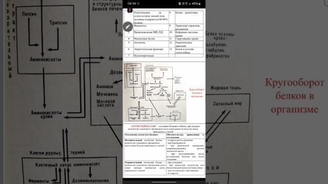 лекция 1, обмен веществ  Борисова Н.В
