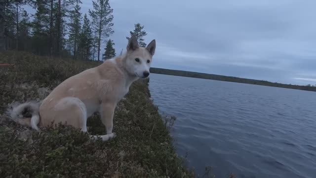 ТАЕЖНЫЙ. Не погибнуть на пороге избы.архив популярное