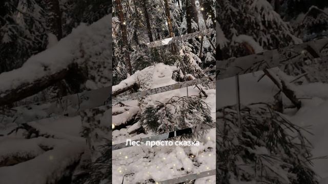 В Тверь пришла зима!!!