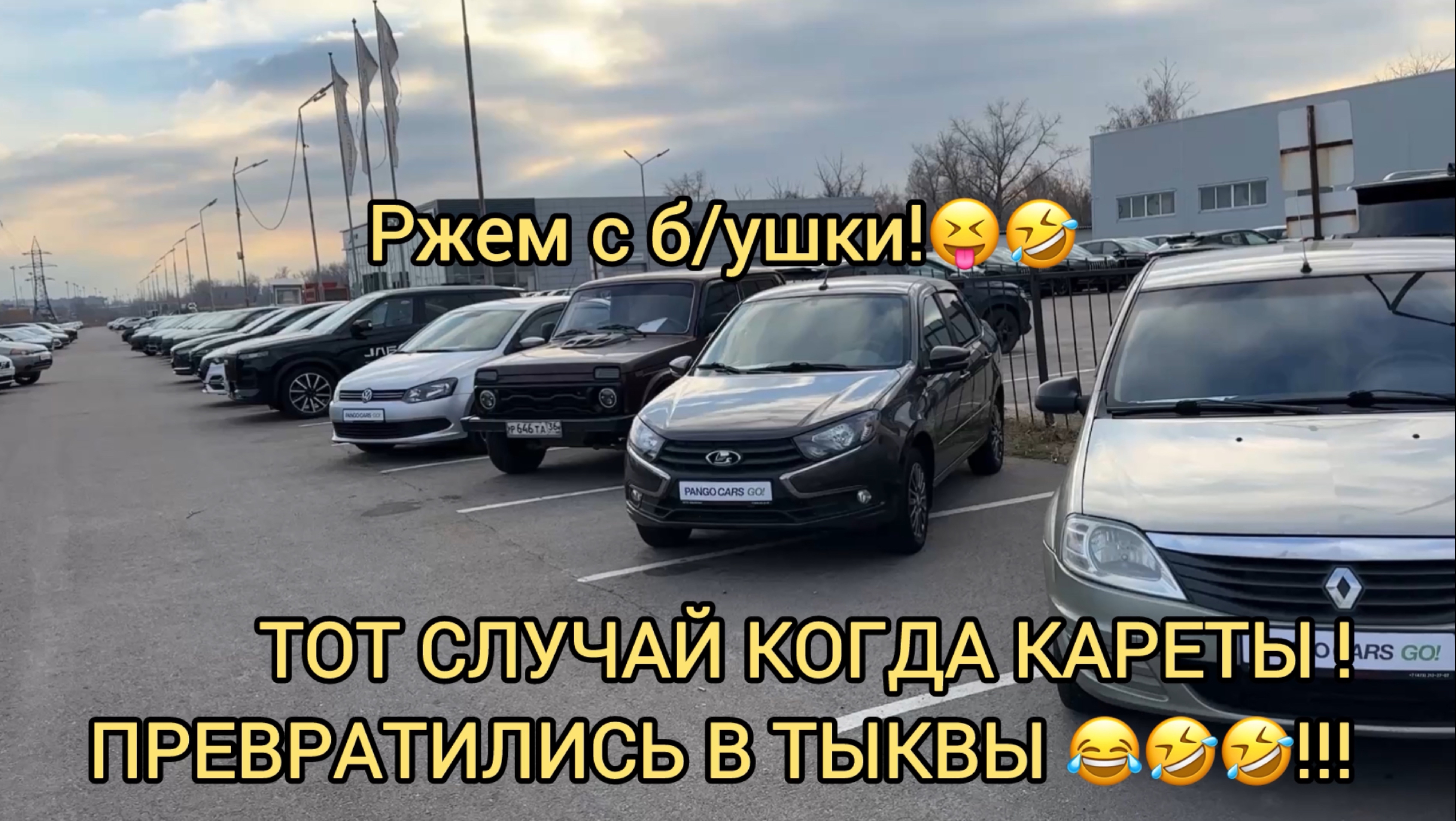 😂ЭТО ТОТ СЛУЧАЙ КОГДА КАРЕТЫ ПРЕВРАТИЛИСЬ В ТЫКВЫ 🎃!!!ЖЕСТЬ Б/УШКА НОЯБРЬ 2024!!!