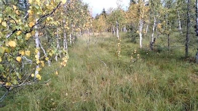 День 5. С Ослянки к Растессу.mp4