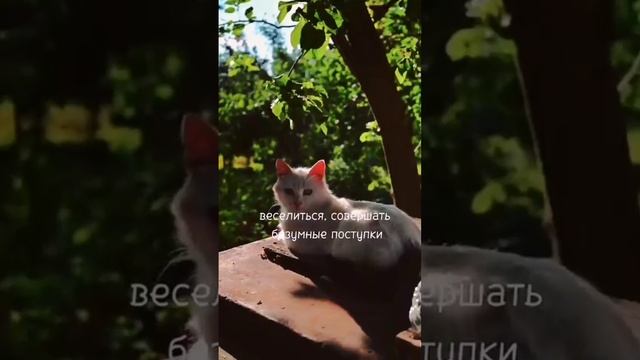 Всё будет хорошо