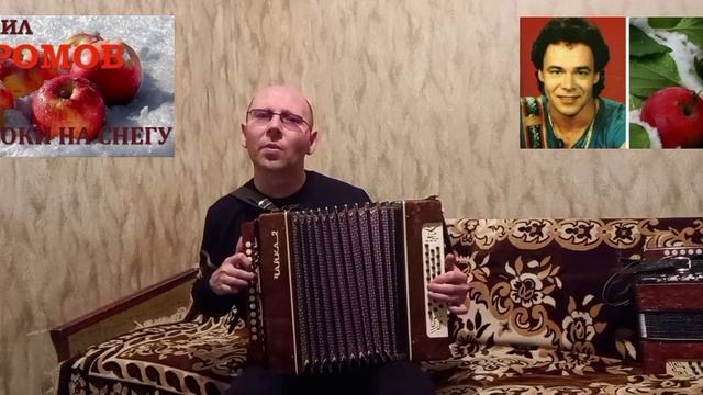 "Яблоки на снегу".(Кавер-версия).Гармонь.