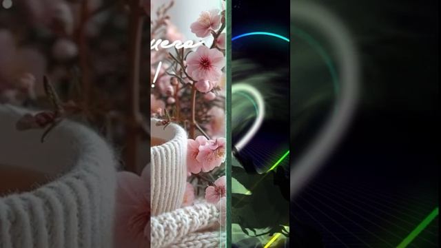 1000032525.mp4Доброе утро!🌹💖🌹💖🌹💖🌹💖🌹💖🥰✨🥰✨🥰✨🥰