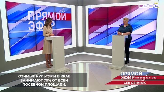 2 млн га засеяли в 2024 году на Ставрополье озимыми культурами, как и в прошлом году
