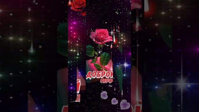 1000032471.mp4Доброй ночи!🌹✨🌹✨🌹✨🌹✨🌹✨🌹✨💖💖💖💖💖