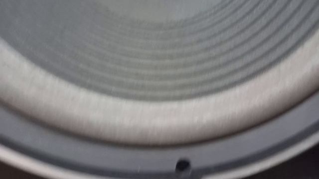 1000018135.mp4