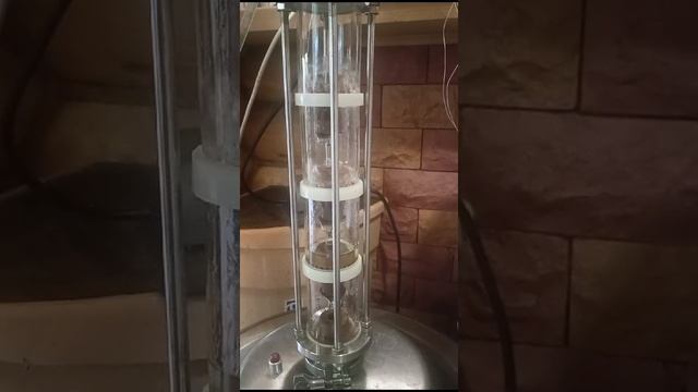 1000012549.mp4