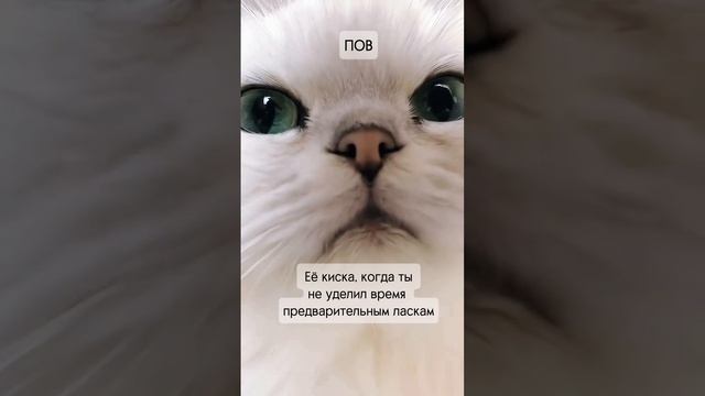 Ты знаешь кому переслать😁😁😁