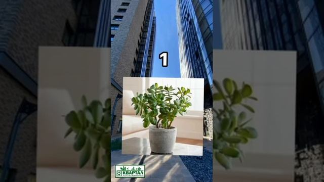 3 способа накопить на квартиру