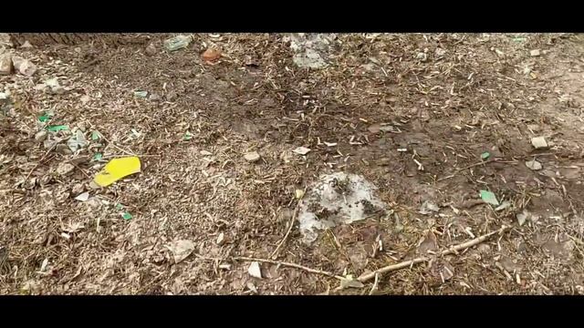 Постояльцы из хостела на нашем газоне попросили положить тротуар__а стекло с газона так и не убрали