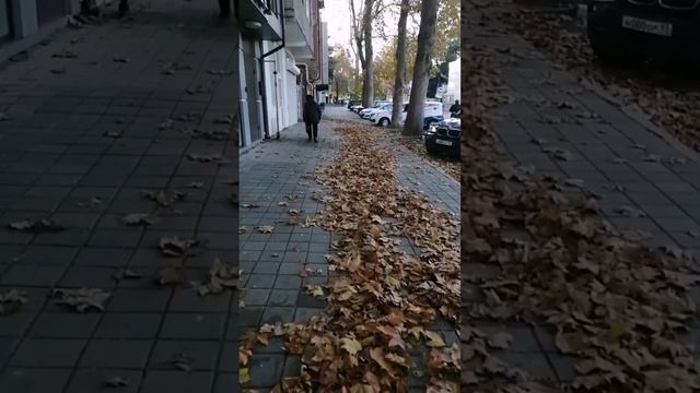 Осень