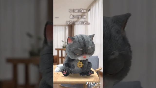 Кофе решает всё